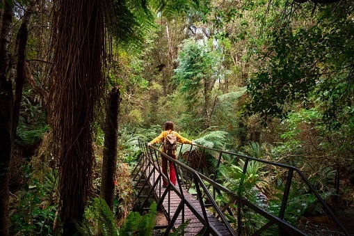 Woman on a bushwalk