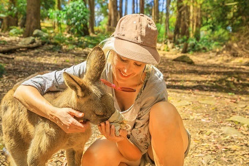 Woman feeding a kangaroo